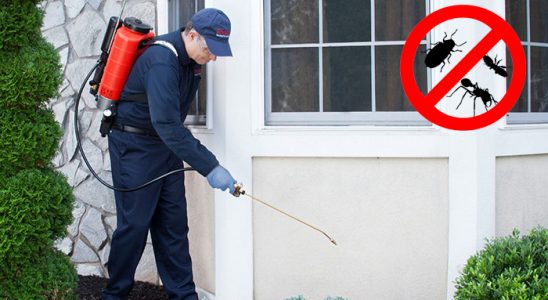 Kurucaşile Karınca İlaçlama böcek ilaçlama ve haşere kontrolü — ilaclama-tr.com